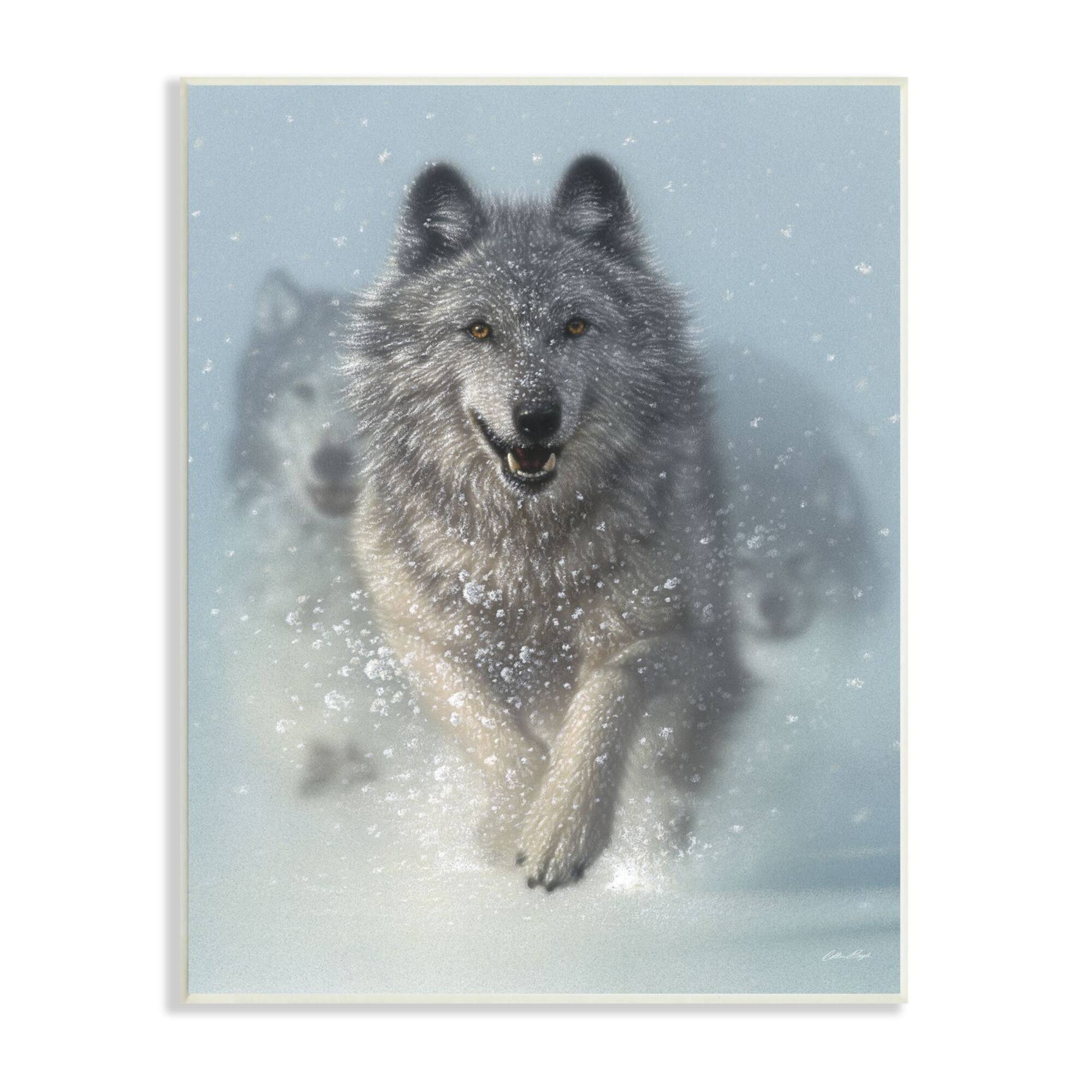 Stupell Industries Wolves Running Through Snow Siberian Wild Winter Animals Wall Plaque